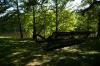 DSC_3232.jpg